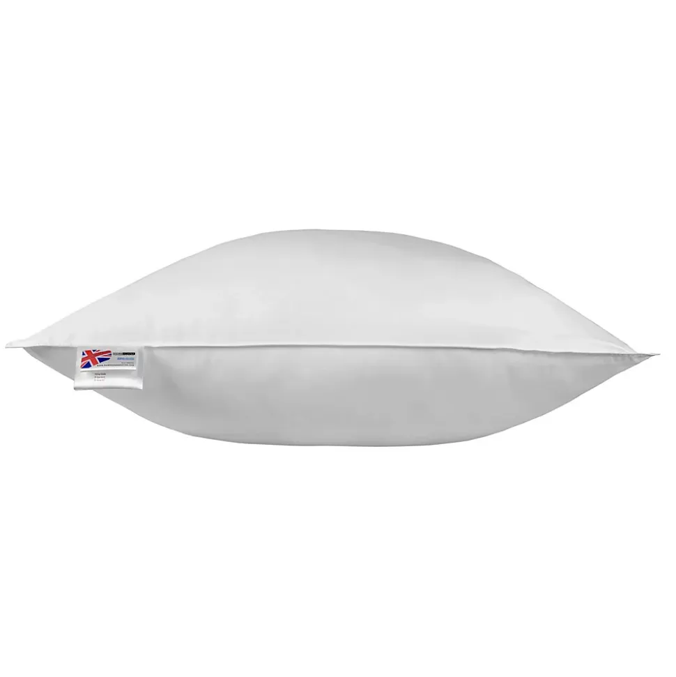 Oreiller en plumes et duvet d'oie 80 x 80 cm - HOMESCAPES