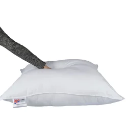 Oreiller en plumes et duvet d'oie 80 x 80 cm - HOMESCAPES