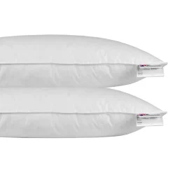 Oreiller en plumes et duvet d'oie 40 x 80 cm - lot de 2 - HOMESCAPES