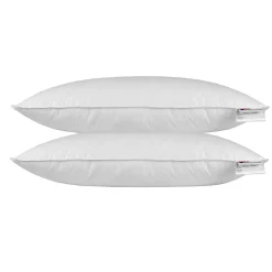 Oreiller en plumes et duvet d'oie 40 x 80 cm - lot de 2 - HOMESCAPES