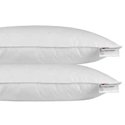 Oreiller en plumes et duvet de canard 40 x 80 cm - lot de 2 - HOMESCAPES