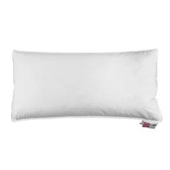 Oreiller en plumes et duvet de canard 40 x 80 cm - HOMESCAPES