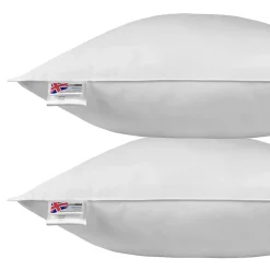 Oreiller en plumes et duvet d'oie 80 x 80 cm - lot de 2 - HOMESCAPES