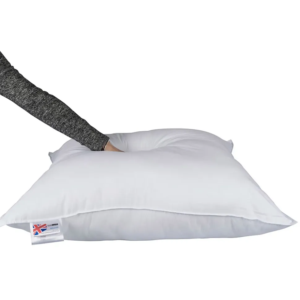 Oreiller en plumes et duvet d'oie 80 x 80 cm - lot de 2 - HOMESCAPES