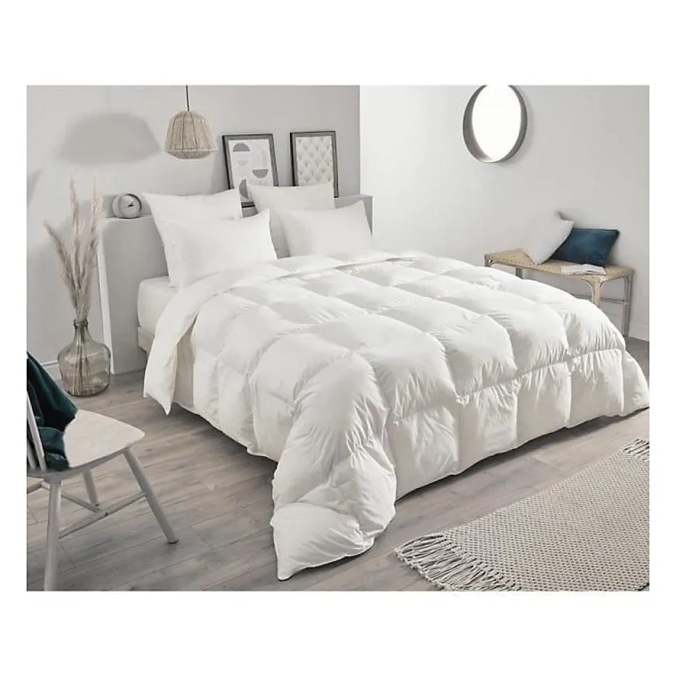 Oreiller en plumettes et duvet (50x70 cm - Blanc)