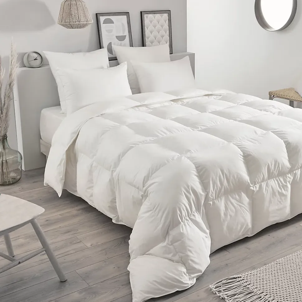Oreiller en plumettes et duvet (50x70 cm - Blanc)