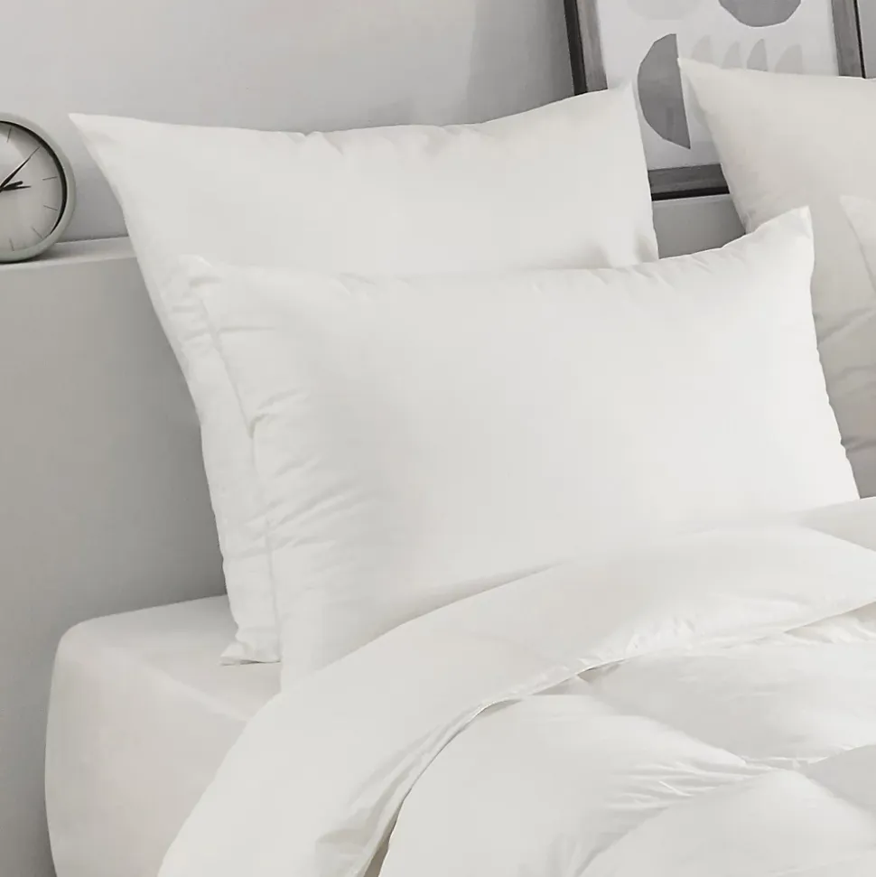 Oreiller en plumettes et duvet (50x70 cm - Blanc)