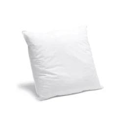 Oreiller Ferme Gonflant 65x65cm