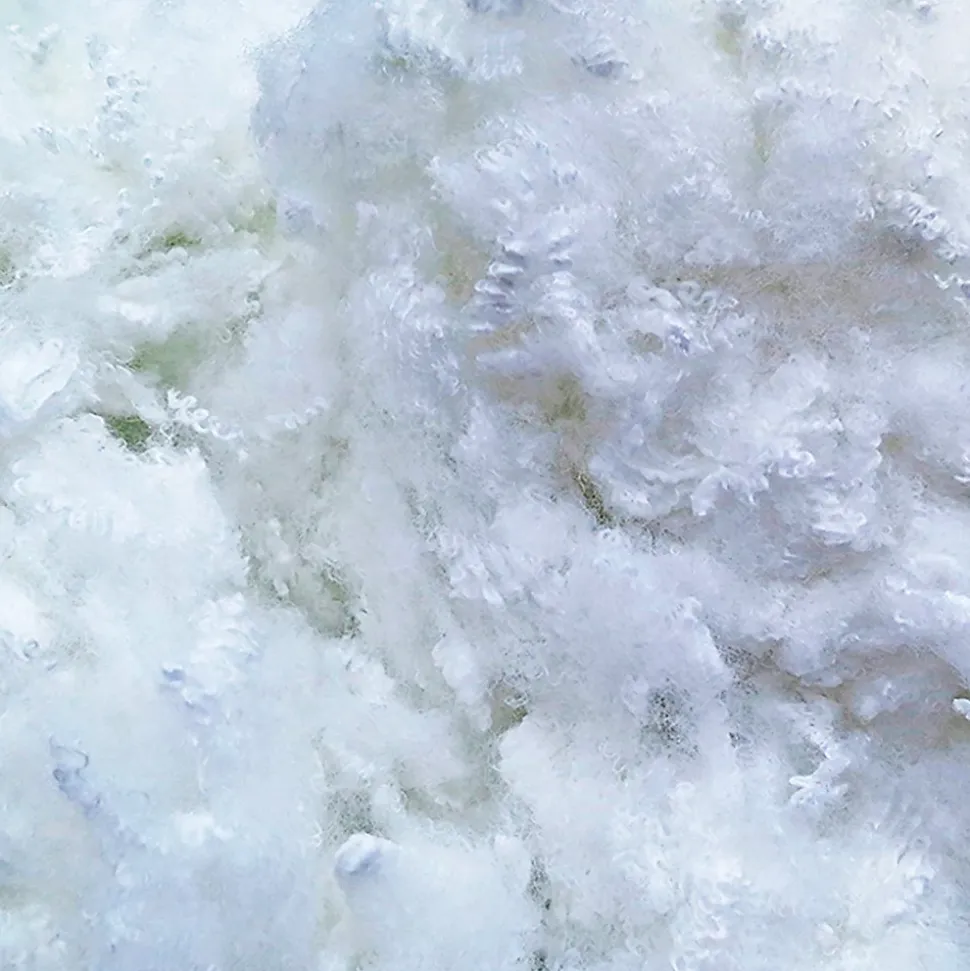 Oreiller Luxotel 40x60 cm Fibres creuses polyester