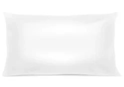 Oreiller Moelleux Microfibre Anti Acariens - 50 x 70 - 31409