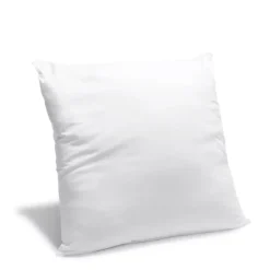 Oreiller Moelleux 60x60cm ANTI-PUNAISES DE LIT