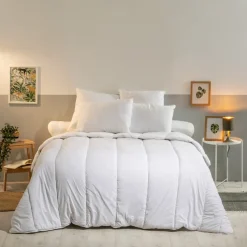 Oreiller Moelleux 60x60cm ANTI-PUNAISES DE LIT