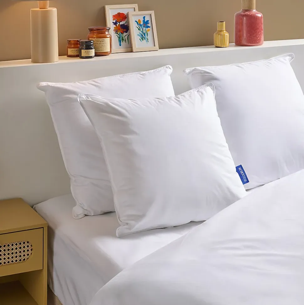 Oreiller Moelleux 60x60cm Gonflant 100% COTON