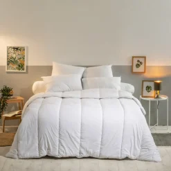 Oreiller Moelleux 60x60cm LAVABLE À 95 C