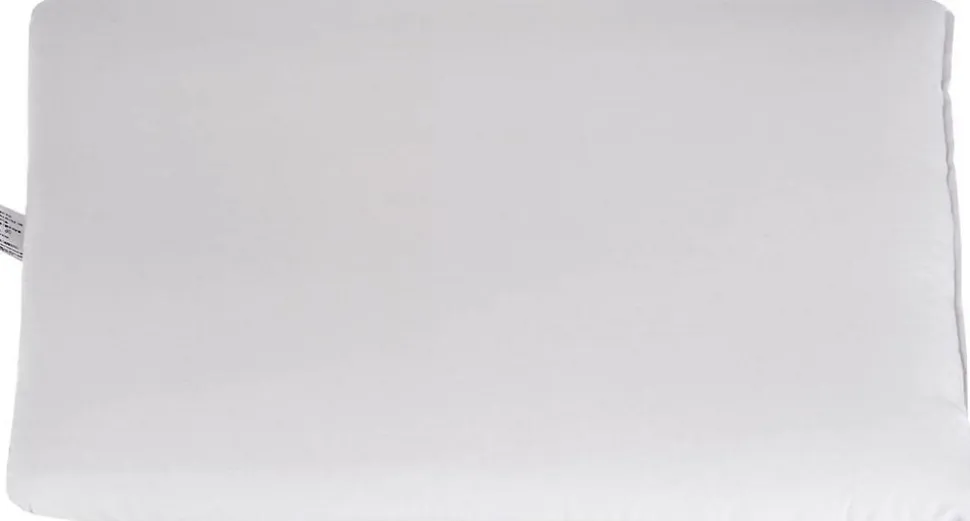 Oreiller naturel aloe vera en plumes et duvet d'oie, 50 x 75 cm - HOMESCAPES