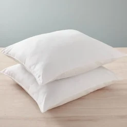 Oreillers Blanrêve Lot de 2 60 x 60 cm Blanc polycoton recyclé