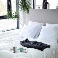 Oreillers Topcool Bleu Calin 60x60 Lot de 2 Blanc