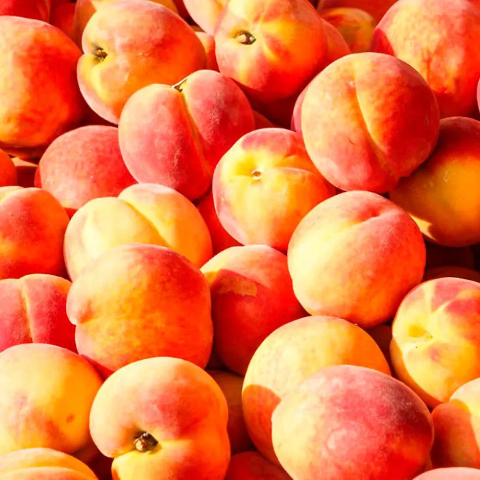 Parfum Peach Velvet pour lampe catalytique (200 ml) - Élimine les mauvaises odeurs, parfume et nettoie l'environnement