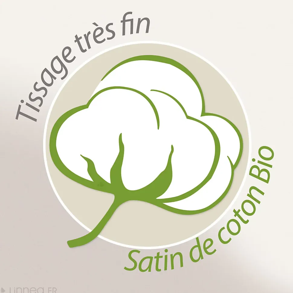 Parure de lit 260x240 cm Satin de coton ORIENT Vert 3 pièces