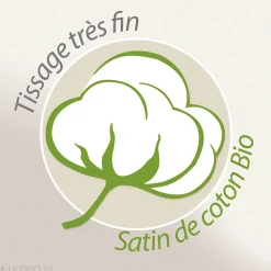 Parure de lit 240x220 cm Satin de coton WAYAN Vert 3 pièces