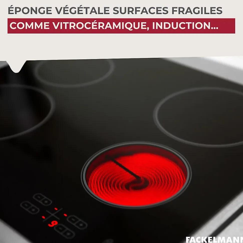 Éponge Végétale Multi-Surfaces fragiles Fackelmann Tecno