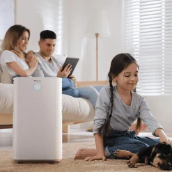 Pro Breeze Déshumidificateur compresseur 12 ljour avec capteur d'humidité auto, séchage du linge