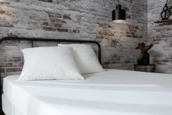 Protège-matelas Anti-bactériens Biome 160 x 200 cm