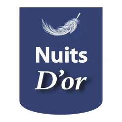 Sommier Tapissier Déhoussable 200x200 cm - 20 cm - 13 Lattes - Housse Lavable - Montage Rapide et Facile - Confort Optimal - SOMMI