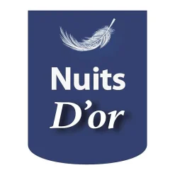 SOMMIER TAPISSIER 140x200 cm - 20 cm - 13 lattes - montage rapide et facile - revêtement facile d'entretien - GREGORY MARRON