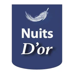 sommier tapissier 160x200 cm - 20 cm - 13 lattes - montage rapide et facile - revêtement facile d'entretien - SOMMIER GREGORY MARR