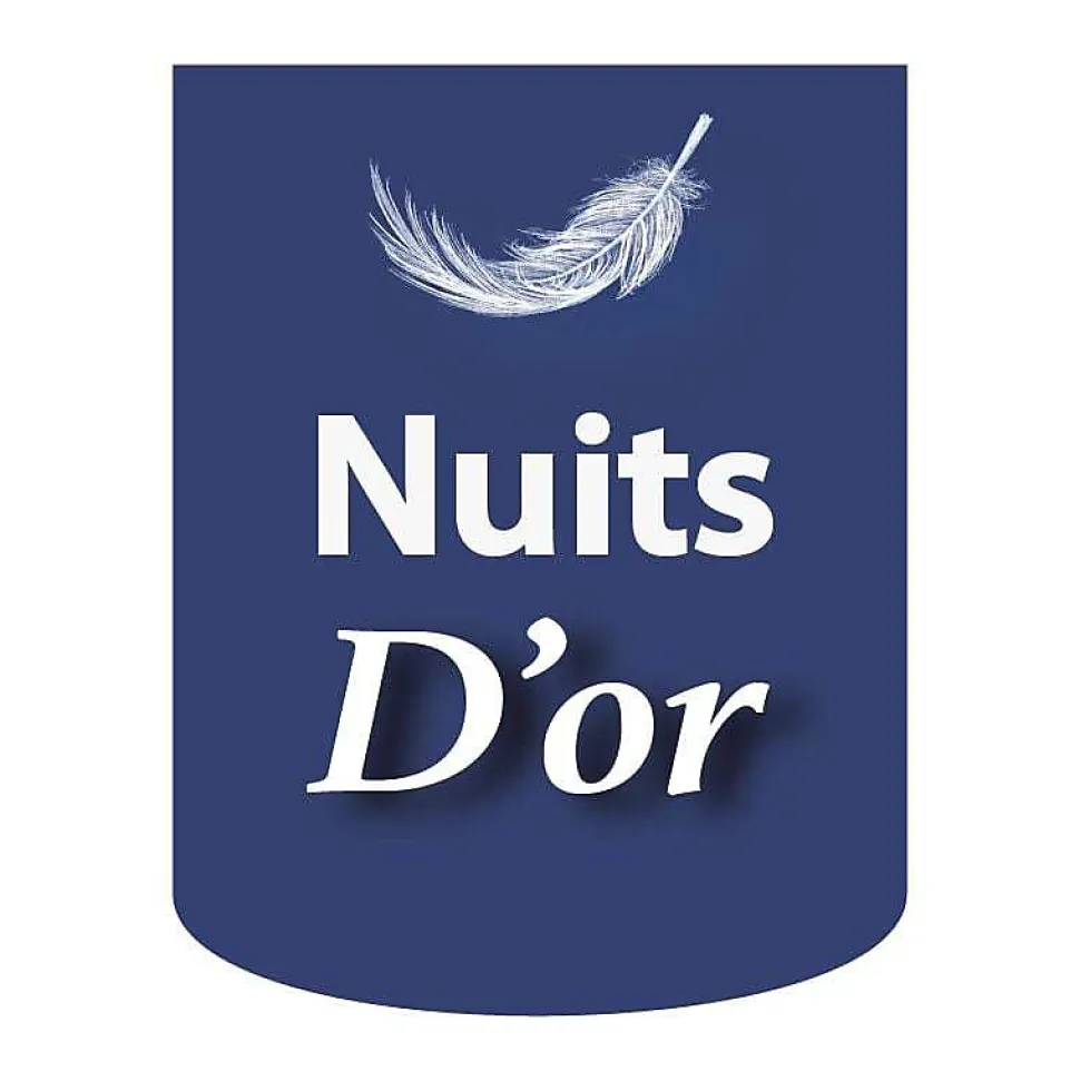 sommier tapissier 160x200 cm - 20 cm - 13 lattes - montage rapide et facile - revêtement facile d'entretien - SOMMIER GREGORY MARR