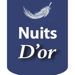 Sommier 120x190 cm - tapissier - dehoussable - housse lavable - pieds 20 cm - 2 x 13 lattes - montage rapide -