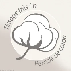 Taie d'oreiller 50x70 cm percale coton TRINIDAD mousson