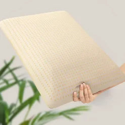 The White Stone Lot de 2 Oreillers en Mousse à Mémoire de Forme 40 x 70 cm, Hauteur 11 cm