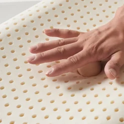 The White Stone Lot de 2 Oreillers en Mousse à Mémoire de Forme 40 x 70 cm, Hauteur 11 cm