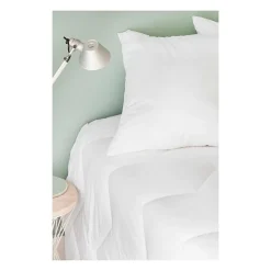 TOISON D'OR - Couette Bamboo tempérée (300g/m²) - 220x240cm - Chaleur tempérée - Viscose de bambou - 2 personnes - Blanc